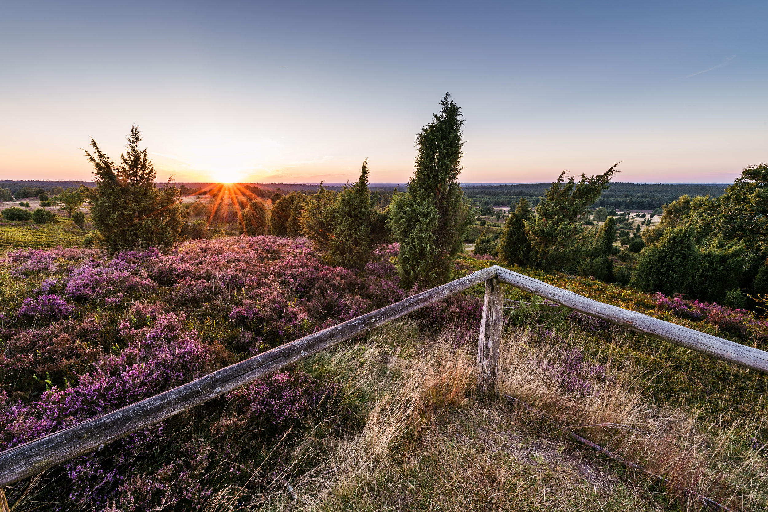 Weitblick Für Die Linse: Die Besten Fotospots In Der Lüneburger Heide ...